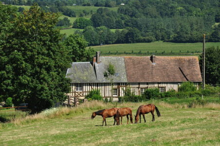 Loi Denormandie Calvados