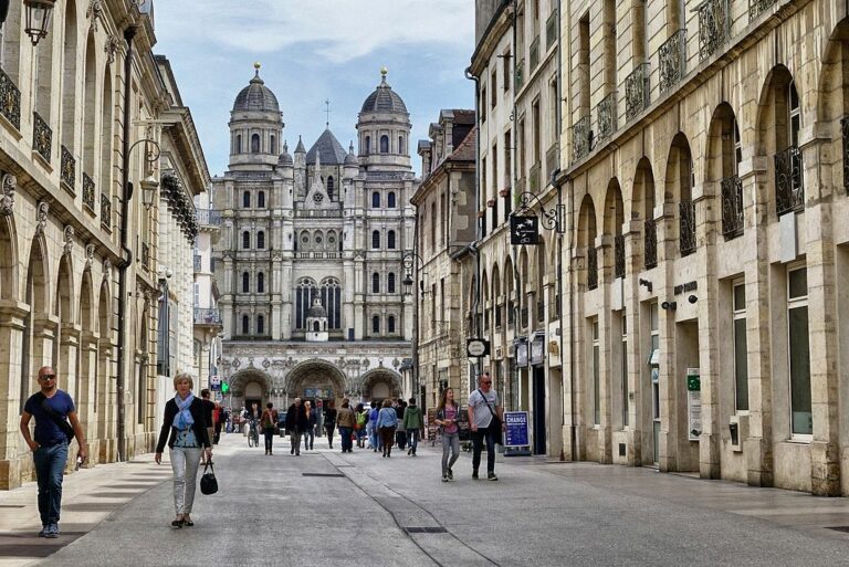 Loi Denormandie Dijon